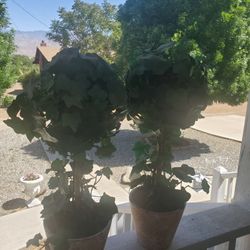 2 New Super Cute Artificial Green Plants 🌿2 Feet Tall 