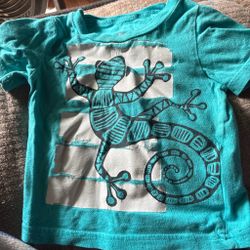 Kids Teal Gecko Graphic T-Shirt