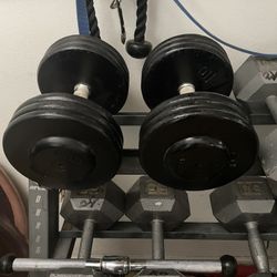 65 Lb  Dumbbells