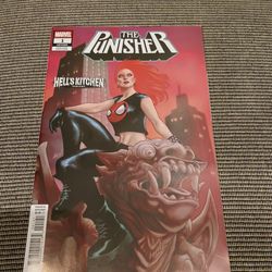 Punisher #1 - Ario Anindito Variant (Marvel Comics) Hell Kitchen February 2026