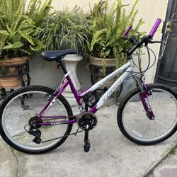 24 “ Bike 