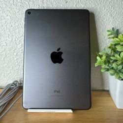 Apple iPad Mini 5th Generation in Gray for WiFi

