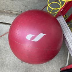 Exercise Ball