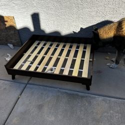 Dog Bed