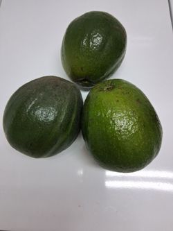 Marcus Pumpkin Avocados