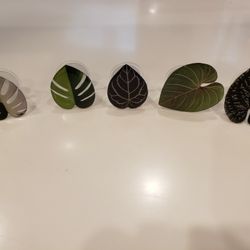 Popsockets Leaves