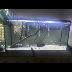 55 Gallon Full Setup 