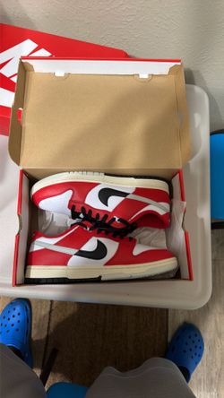 Dunks Chicago splits sz 12