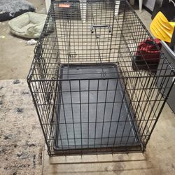 Dog Kennel