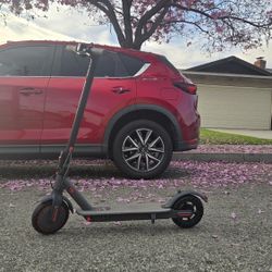 electric scooter 