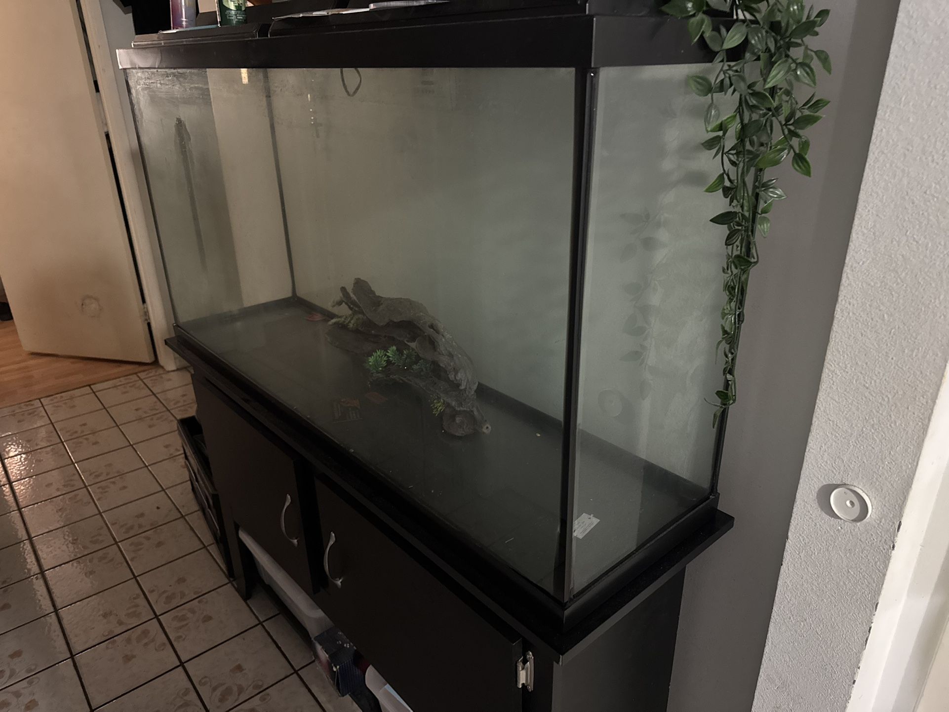 75 Gallon Fish Tank Set