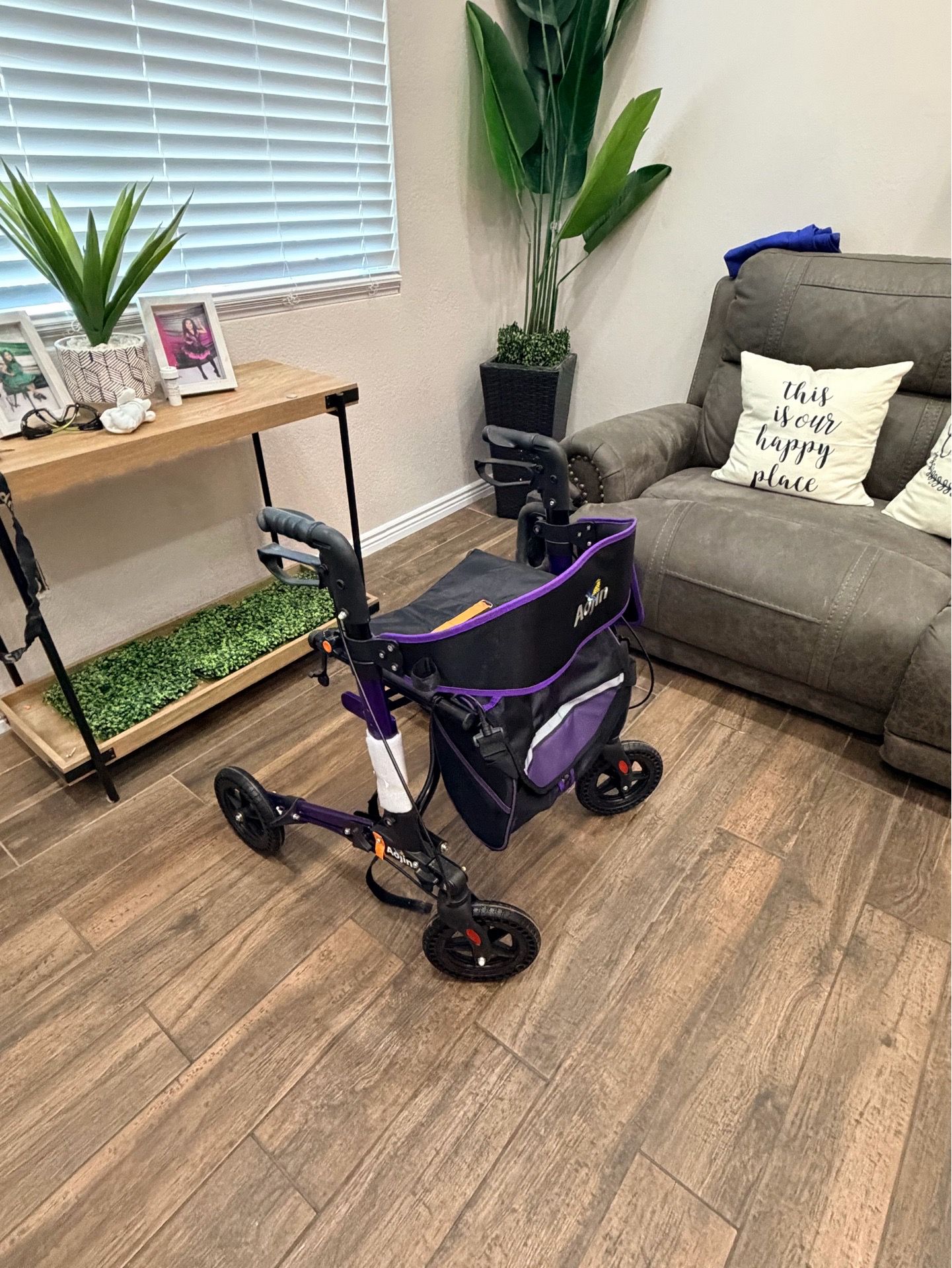 Rollator walker