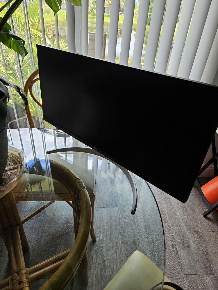 LG Monitor
