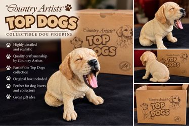 Country Artists TOP DOGS – Collectible Yawning Labrador Puppy Figurine with Original Box