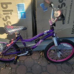 20" Girl Bike 