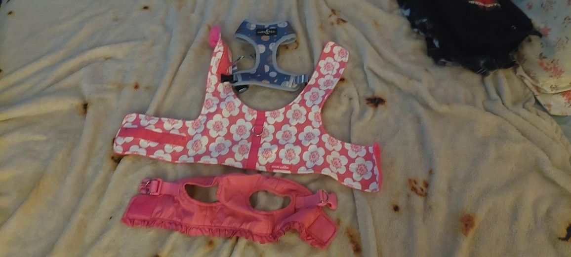 Dog Harnesses