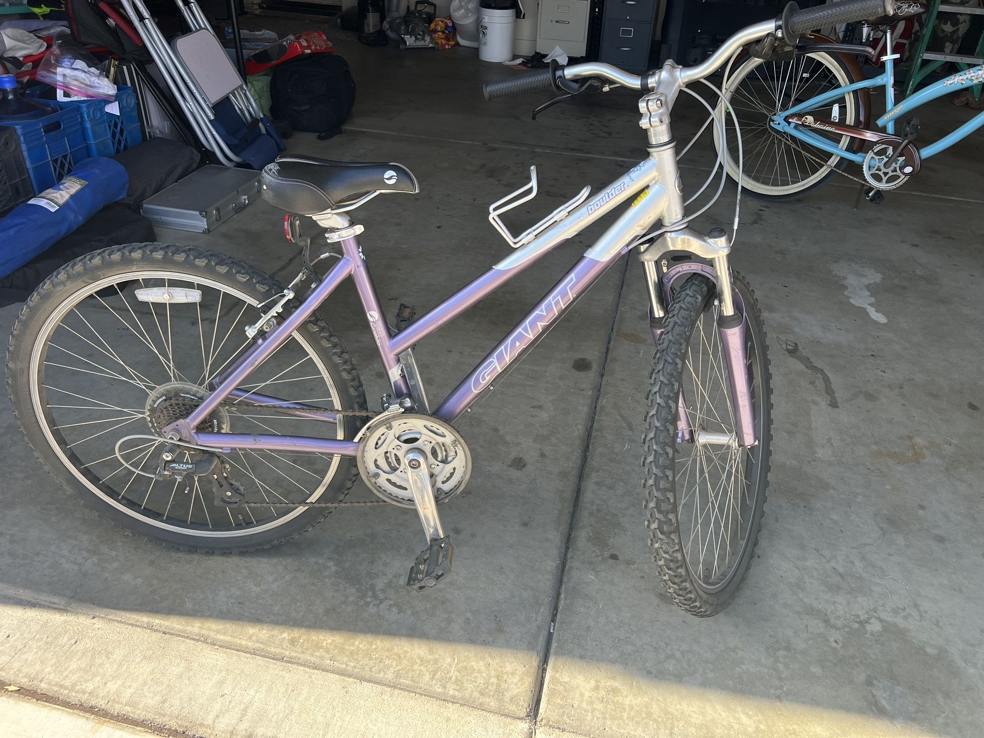 Giant Girls Mountain Bike