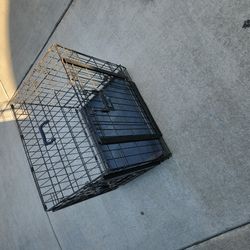 Dog Crate 