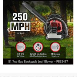 Prorun Backpack Leaf Blower