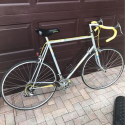  12 speed Panasonic Bike $200