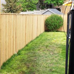 Privacy Fence 