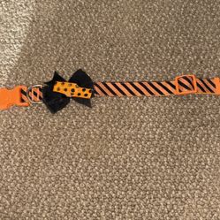 Lg Halloween Collar