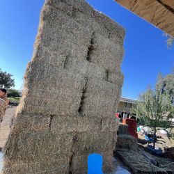 Hay / Alfalfa $20:00 Per Bale 
