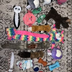 Group of pre- loved dog toys