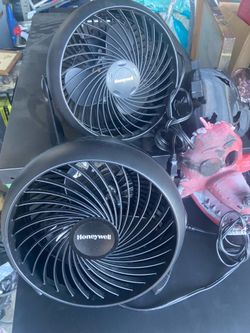 Cute fans