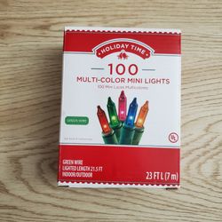 NEW 100ct Multi-Color Mini Christmas Holiday Indoor/Outdoor Lights