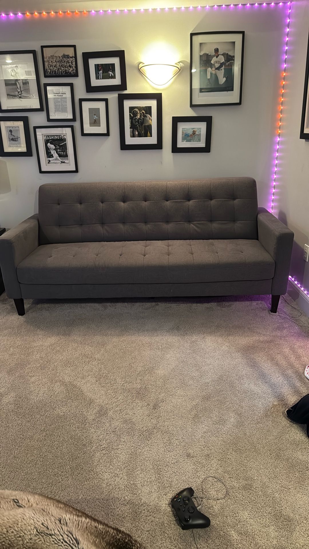 Dania Grey  couch