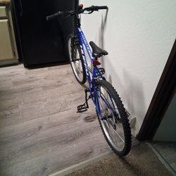 20" Inch Mountain Bike With Slime Tube