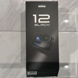 GoPro Hero Black 12