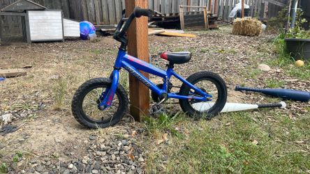 Specialized Kids Bike (2-4year olds)