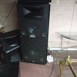 Peavey Speakers 