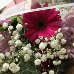 Flower Arrangement