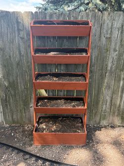 Cedar garden