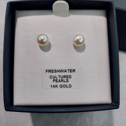 14k Gold Pearl Earrings Wedding