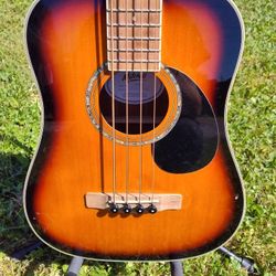 Acoustic - Electric Bass