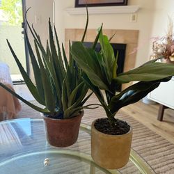 Mini Aloe + Fig Faux Plant Set (2) – Small Planters