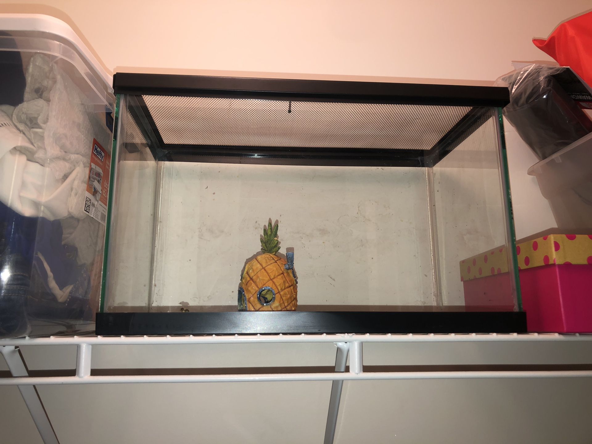 Fish tank used as hamster house