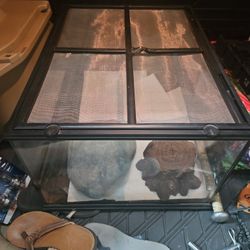 Reptile Enclosure