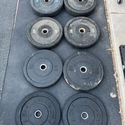 224lb Olympic Bumper Plate Set 