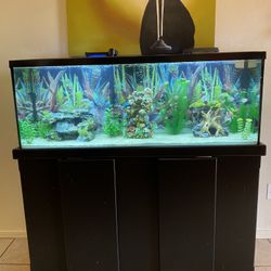 Fish Tank, 55 Gallons Aquarium With Stand 