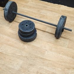 Weight Disc 100 Pounds 