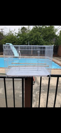 Bird Cage