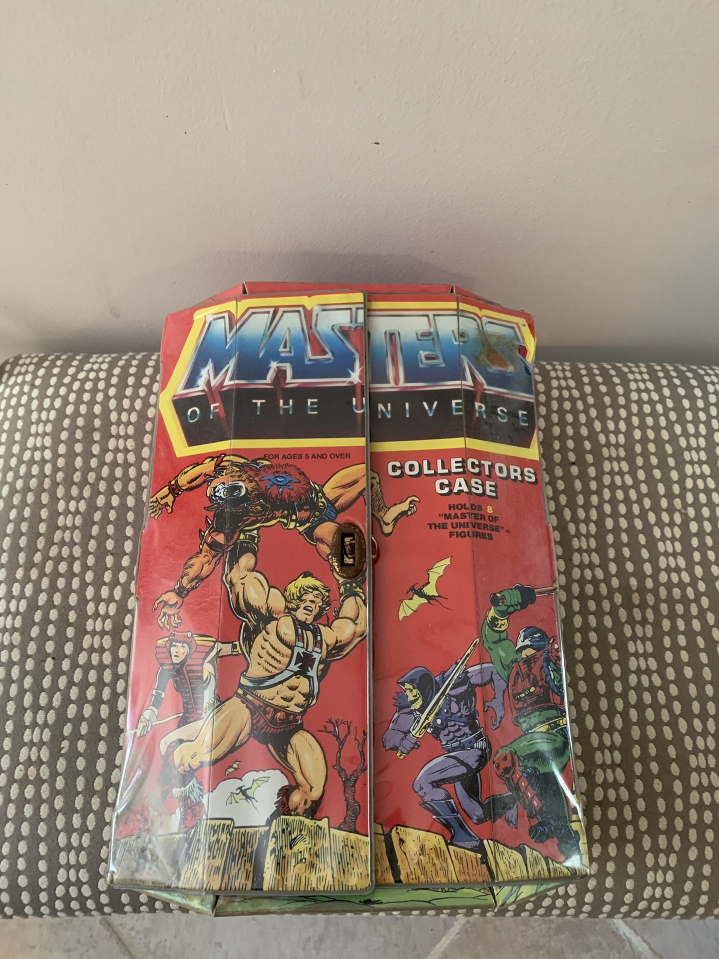 Master of the universe figure case