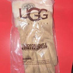 Gloves 