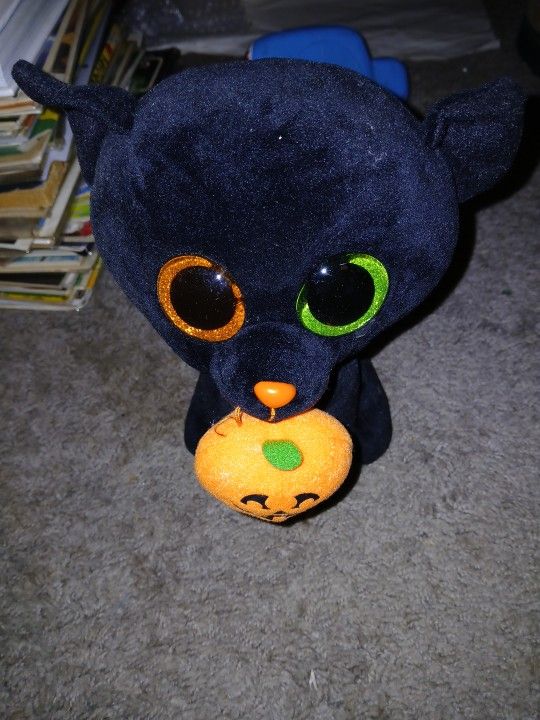 Shadow The Cat Shhhh!