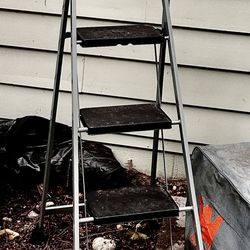 Ladder with 4 Steps 